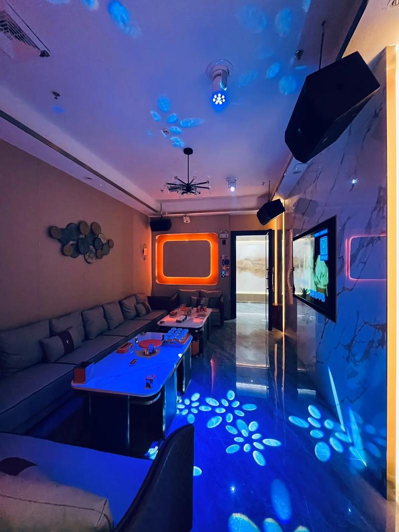 聊城商务ktv独享单人空间-莘县ktv预定